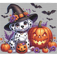 Halloween-WS 5779